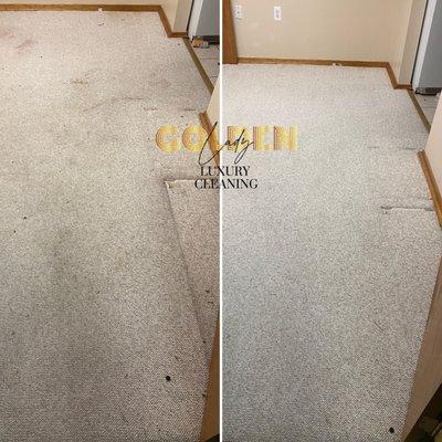 Golden Lady Luxury Cleaning