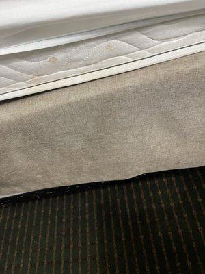 Blood Stains on mattress from bedbugs