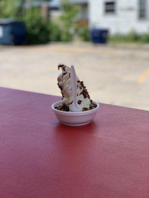 Small Turtle Sundae. The perfect size and tasty!