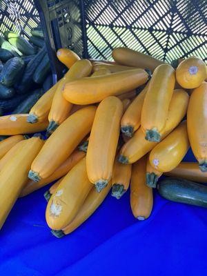 Vibrant yellow zucchini.