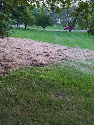 Second sink hole filled,topsoil,seed and hay