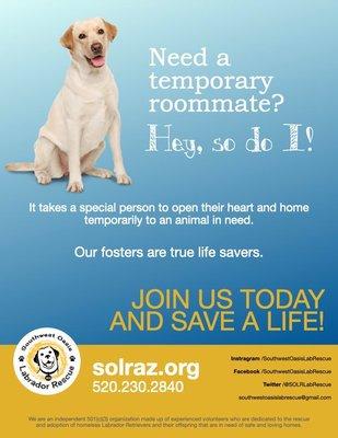 Fosters save lives!