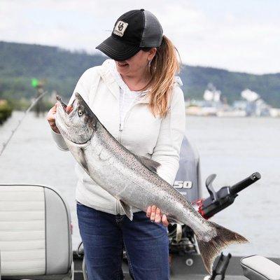 Spring Chinook salmon caught on the Columbia River near Clatskanie, Oregon