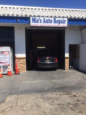 Changing the oil  on a all American 2010 CTS Cadillac