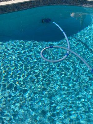 Zodiac MX6 pool vacuum