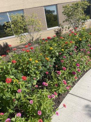 Beautiful gardens on the side of the hospital