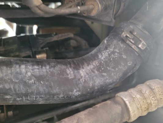 Supposed new radiator hose