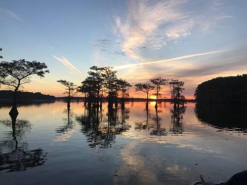 Caddo Lake Bayou Tours