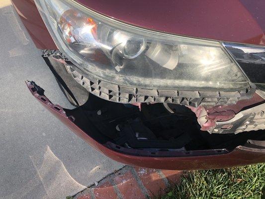 Damage to front bumper