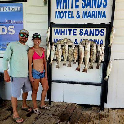 Fish displayed at White Sands Marina charters.