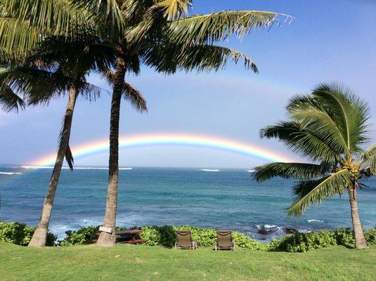 Maui by the Sea