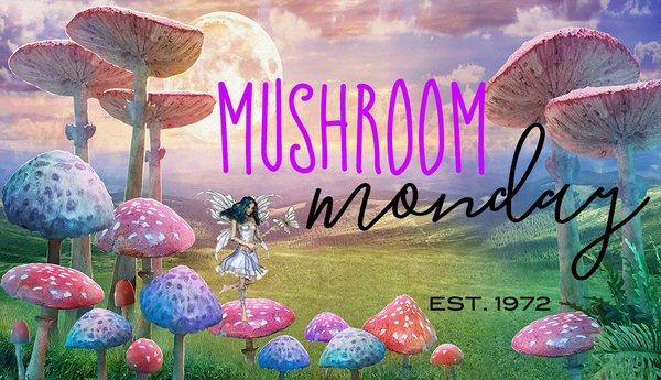 Mushroom Monday In Manitou Springs, Colorado ~ The Most Unique Gift Shop In Manitou!