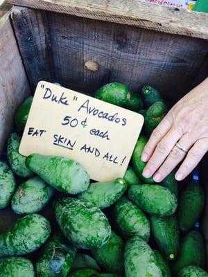 Rare and outstanding! Duke avocados!