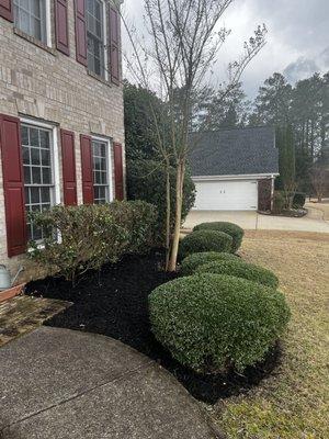 Mulch and hedge trimming