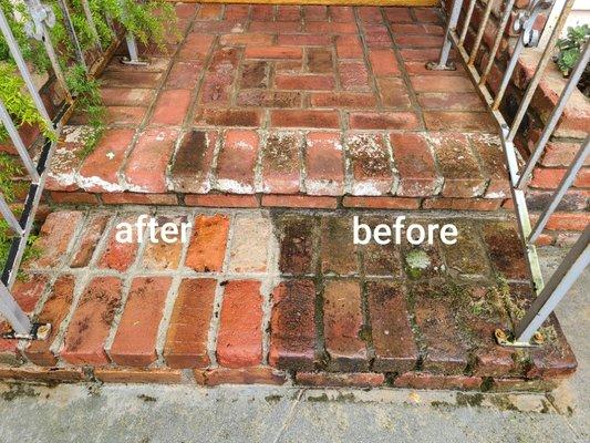 Hard Surface Cleaning 
Stairs Brick Cleaning