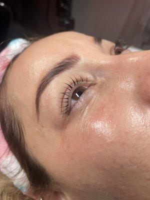 Elleebana Lash Lift & Tint.