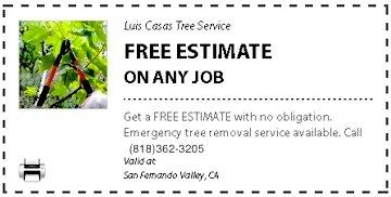 Luis Casas Tree Service