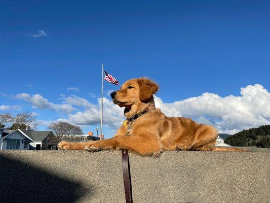 Confidence training outside.