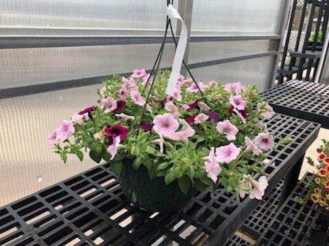 Hanging basket