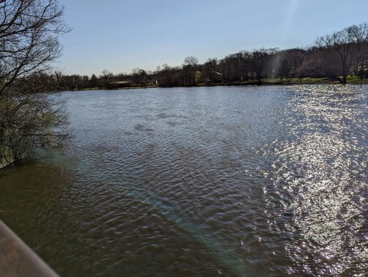 Jon J. Duerr Forest Preserve