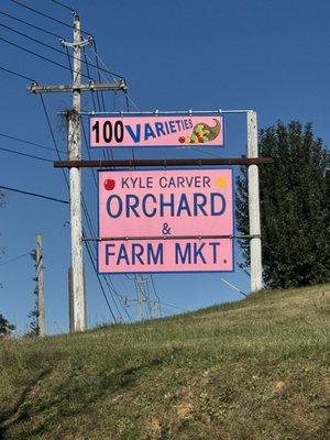 Carver Orchards & Farm Market on October 25, 2023.