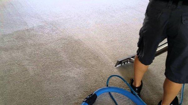 Advanced Carpet Care Inc. (Technician)