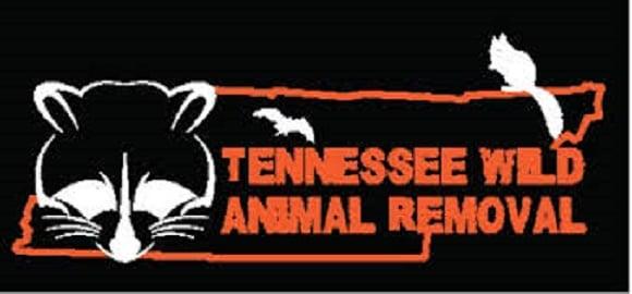 Tennessee Wild Animal Removal LLC