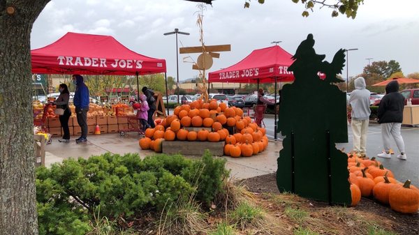 Fall! So many pumpkins!