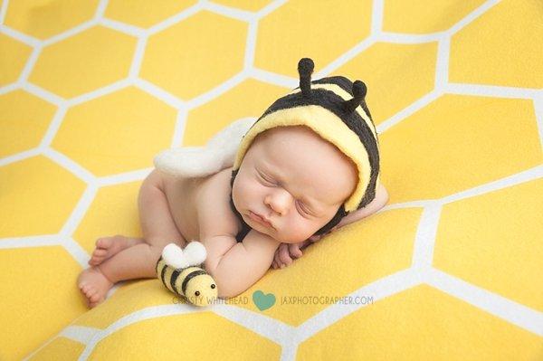 Baby bee newborn, Jacksonville, Fl