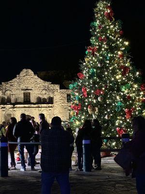 The tree at the Alamo.