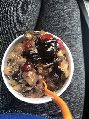 Pint of Frozen Yogurt