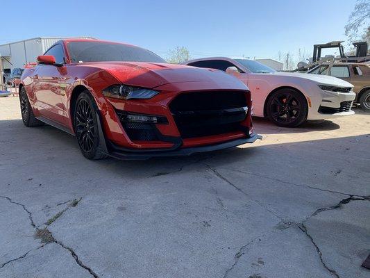 gt500 bumper painted and installed