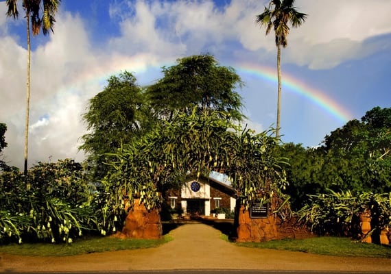 Lili'uokalani Church