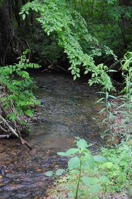 Our pretty creek, such tranquil sounds.