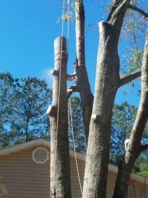 Blocking down big logs, safely lowering to the deck.