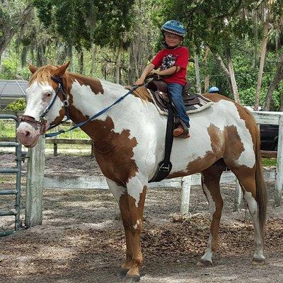 Our horses love kids and kids love our horses!