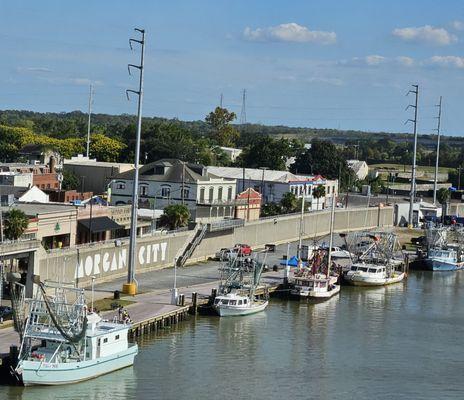 Shrimp Boats