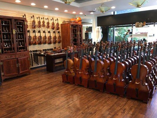 D Z Strad Violin Shop