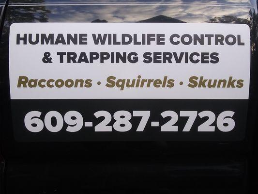 Humane Removal of Raccoons, Squirrels, Skunks, Groundhogs, Opossums. Serving Egg Harbor Township and Surrounding Areas.