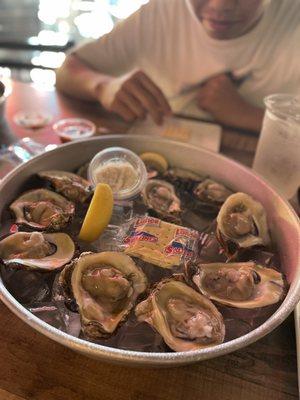 Gulf oysters