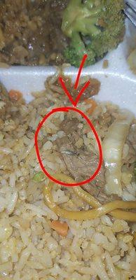 Maggot found in my food. This is disgusting.