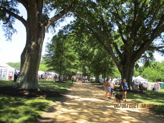 Arts in the Middle, Urbanna, VA, 2021: Vendor stalls as far as the eye can see.