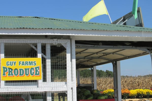 farm stand with flowers and produce