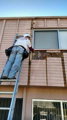 Licensed Experts at Dry Rot & Termite Damage Repairs.