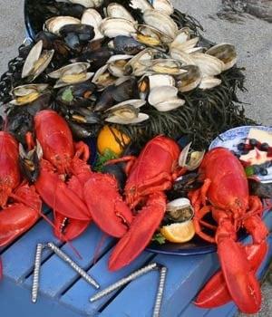 Our famous Maine lobsterman share includes 4 large hardshell lobster, 1lb of clams, mussels, claws, dessert and all the extras!