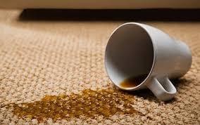 Carpet Cleaning Service