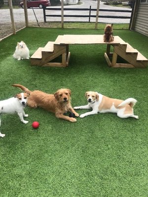 Lots of room to play in our grassy play areas!