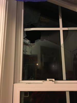 Our window was broken very late on a Saturday night, by Friday it was fixed. Other companies said it would take 2 to 3 weeks.