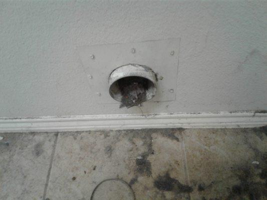 Allowing lint buildup in dryer vent lines is a major fire hazard