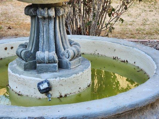 The Fountains At Lake Pleasant